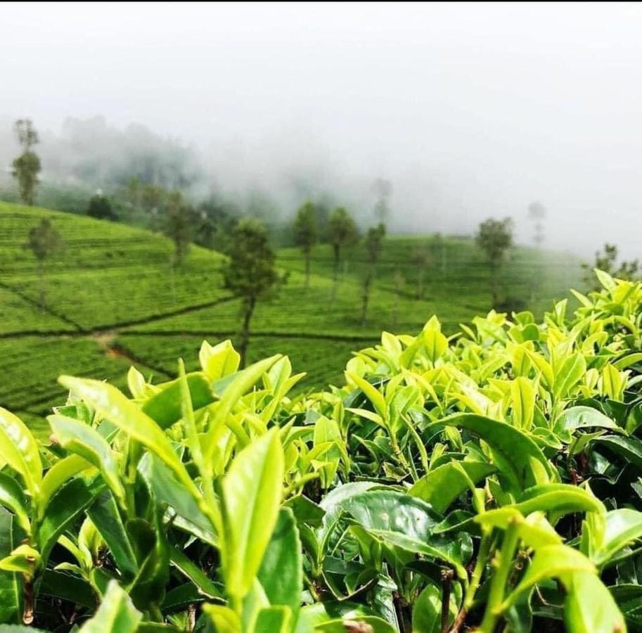 Hotel The Paul Woods Nuwara Eliya Exterior foto